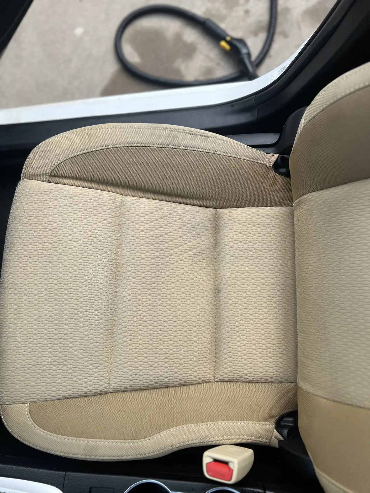 seat stain removal denton tx